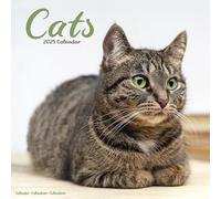 Cats Calendar Wall Calendar Month To View 2025