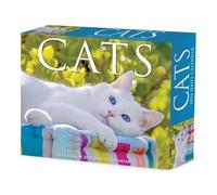 Cats 2026 Box Calendar