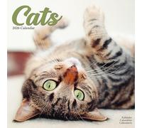 Cats 2026 Calendar | Square Wall Calendar | Cat Gift | Plastic Free Packaging | by Avonside Publishing