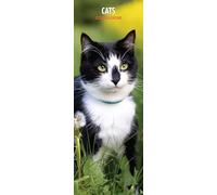 Cats 2026 Slim Calendar