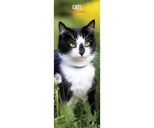Cats 2026 Slim Calendar
