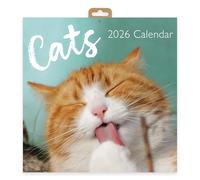 Cats 2026 Square Wall Calendar | Monthly Planner with Adorable Cat & Kitten Photography | Cute Pet Calendar