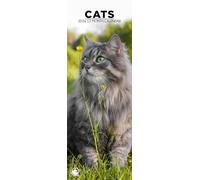 Cats 2026 Wall Calendar, 12-Month Slim Format, Made in England