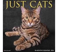 Cats 2026 Wall Calendar