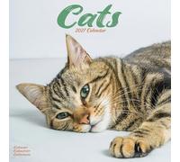 Cats 2027 Calendar | Square Wall Calendar | Cat Gift | Plastic Free Packaging | by Avonside Publishing