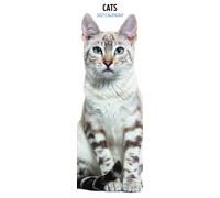 Cats 2027 Slim Calendar