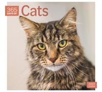 Cats 365 Days (PFP) W