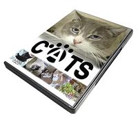 Cats: A Fun Guide To Caring For Your Cat [DVD]