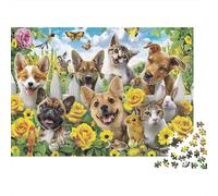 Cats And Dogs Year in Pictures 1000 Piece with Clean Edges Jigsaw Puzzles Cute Pet Gathering As Dementia Friendly Activities for Concentration Games 38x26cm/1000pcs