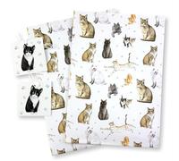 Cats and Kittens Recycled and Recyclable Gift Wrapping Paper, 2 sheets plus 2 gift tags - birthday - Mothers day - Father's Day - crafting