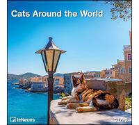 Cats Around the World 2022 - Wand-Kalender - 30x30 - 30x60 geöffnet