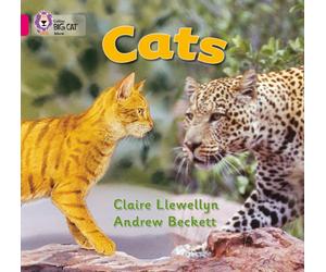 Cats : Band 01b/Pink B