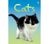 Cats (Beginners)