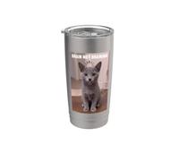 Cats Brain not braining Funny Russian Blue Kitten cat Meme Stainless Steel Insulated Tumbler