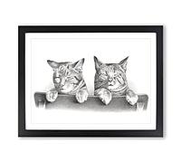 Cats By Thomas Hunter Vintage Framed Print | A2 Black Framed Wall Art | Ready to Hang | Classic Animal Picture | Living Room Bedroom Lounge Office