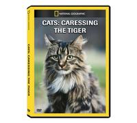 Cats: Caressing the Tiger [DVD] [Region 1] [US Import] [NTSC]