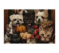 Cats Dogs Eat Fruits Together Placemats Heat Resistant Washable Oxford Cloth Table Mats Set of 4 Home Kitchen Decoration, Easy to Clean