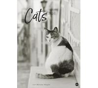 Cats Edition Kalender 2026: Elegante Samtpfoten in schwarz-weiß in einem XXL-Kalender. Tierkalender 2026 im Großformat. Hochwertiger großer Fotokalender für Katzenfans.