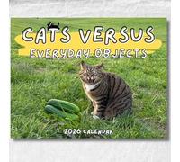 Cats Everyday Objects 2026 Wall Calendar A Unique Feline Art For Your Year (Green, 30CM)