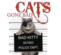 Cats Gone Bad (Mini Gift)