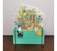 Cats In The Greenhouse Any Occasion 3D Pop Up Greeting Card By Alljoy Cards