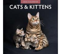 Cats & Kittens - 2026 Square Wall Calendar - by Red Robin Publishing