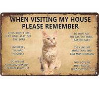Cat's Metal Signs Artwork - When Visiting My House Please Remember Vintage Wall Decoration - Original Vintage Design Tin Metal Art Wall Print Poster Wall Decoration Signs 8x12 In