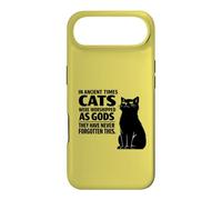 Cats Never Forgot They Were Gods Case for iPhone Air