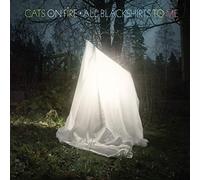 CATS ON FIRE - All Blackshirts to Me