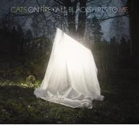 Cats on Fire - All Blackshirts to Me