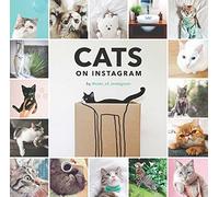 Cats On Instagram