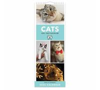 Cats On Instagram Slim Calendar 2026, Wall Calendars, Month To View, Gift