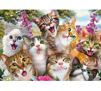 Cats' Selfy