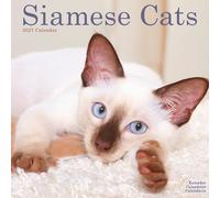 Siamese Cats 2027 Calendar | Square Wall Calendar | Cat Gift | Plastic Free Packaging | by Avonside Publishing