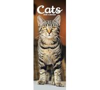 Cats Slim 2026 Calendar | Slimline Wall Calendar | Cat Gift | Plastic Free Packaging | by Avonside Publishing