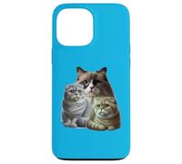 Cats: Two Scottish Folds & One Birman Case for iPhone 13 Pro Max