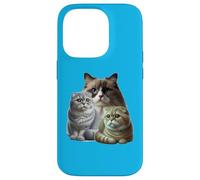 Cats: Two Scottish Folds & One Birman Case for iPhone 14 Pro