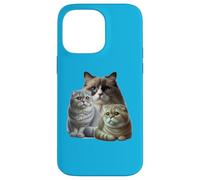 Cats: Two Scottish Folds & One Birman Case for iPhone 14 Pro Max