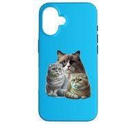 Cats: Two Scottish Folds & One Birman Case for iPhone 16