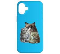 Cats: Two Scottish Folds & One Birman Case for iPhone 16 Plus
