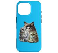 Cats: Two Scottish Folds & One Birman Case for iPhone 16 Pro