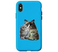 Cats: Two Scottish Folds & One Birman Case for iPhone X/XS