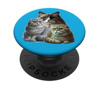 Cats: Two Scottish Folds & One Birman PopSockets Adhesive PopGrip