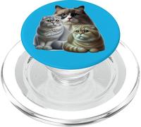 Cats: Two Scottish Folds & One Birman PopSockets PopGrip for MagSafe