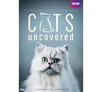 Cats Uncovered ( The Truth About Cats )
