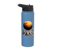 Cats Walking in Space Cat Astronaut Mars Planet Cat Lover Stainless Steel Insulated Water Bottle