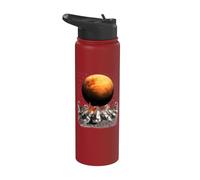 Cats Walking in Space Cat Astronaut Mars Planet Cat Lover Stainless Steel Insulated Water Bottle