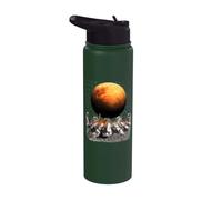 Cats Walking in Space Cat Astronaut Mars Planet Cat Lover Stainless Steel Insulated Water Bottle