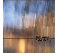 Catskills Cry by Aaron Comess