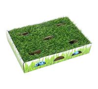 Catstages Grass Patch Hunting Box Cat Toy